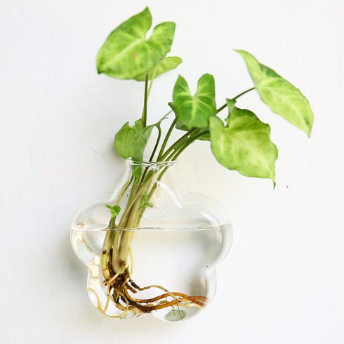 Bubbly™ Hydroponic Vases